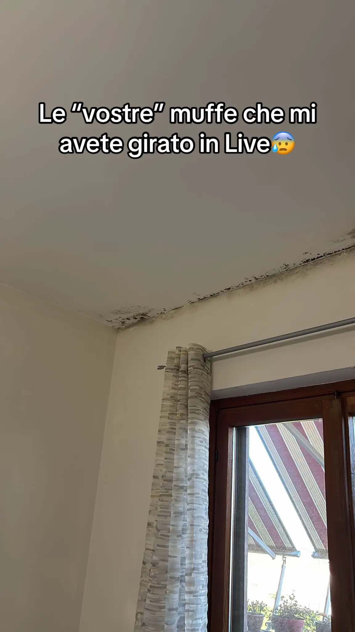 Se nonostante pulizia con candeggina o antimuffa al cloro la situazione è ancora questa, ricordati di bloccare la muffa prima che si diffonda ulteriormente! Se non sai come fare, scrivimi in privato o vieni a trovarmi nelle mie live!😉