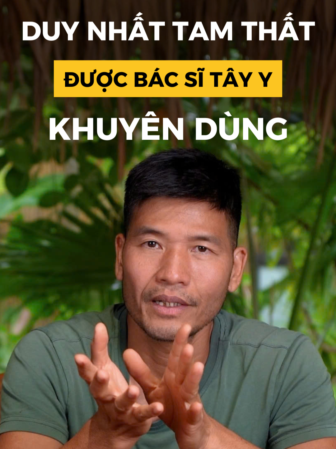 Duy nhất Tam Thất là thứ mà các bác sĩ Tây Y họ tin và khuyên bệnh nhân dùng. Còn đâu tất cả các loại dược liệu khác chẳng có ông bác sĩ nào khuyên dùng cả. #duongsam #tamthatbac #tamthatbactuoi #tamthattuoi #tamthat 