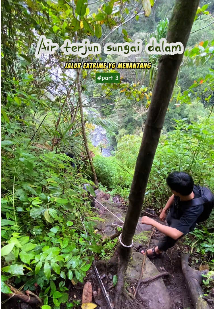 Dari ketiga jalur air terjun yang ada di sekitaran air terjun sungai dalam, jalur inilah yang paling berbahaya  #kerinci_jambi_indonesia #hikingadventures #airterjunsungaidalam #waterfall #jangletrack  