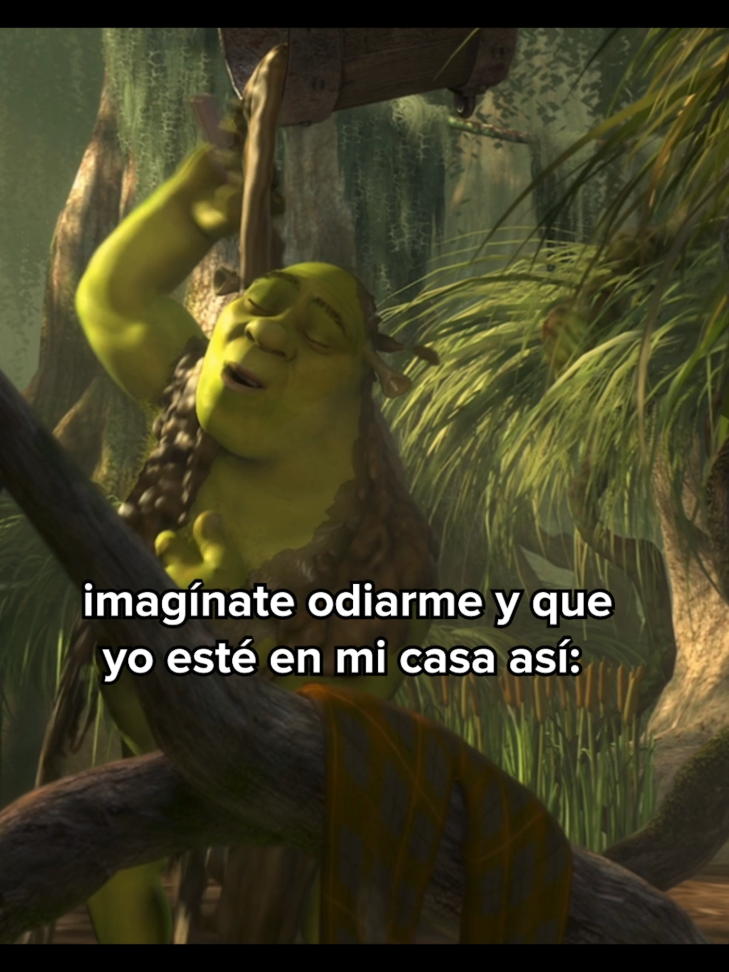 Nunca un tiktok fue tan real #shrek #cineentiktok #quever #primevideo