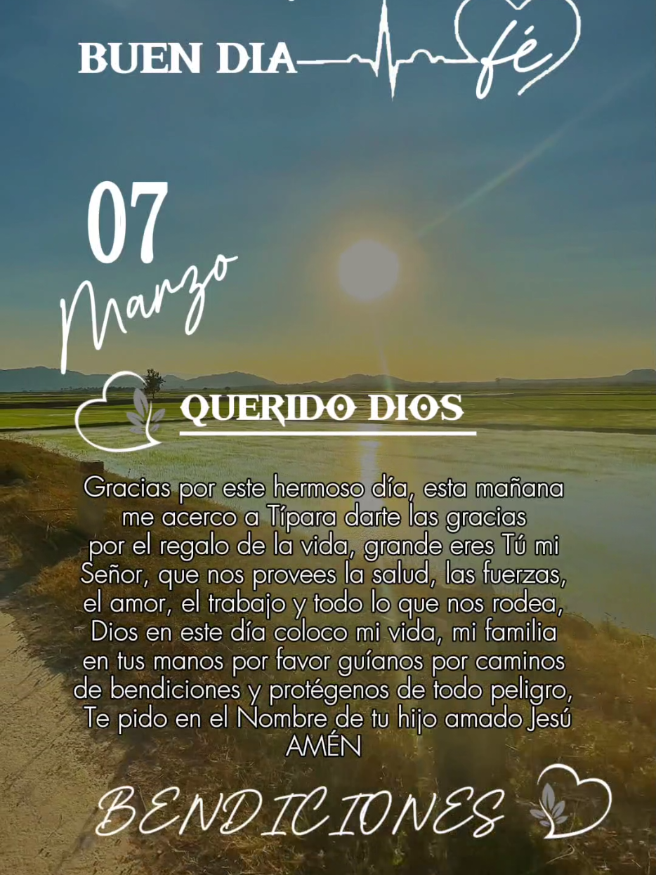 Gracias por este Viernes amado Dios  #graciasdios #graciasportusbendiciones #diostebendiga #bendecidodia🙏🙏🙏🌞♥️ #oraciondehoy #oraciondelamañana #reflexiones #reflexionescristianas #frasescristianas #oraciones #oracionespoderosas #nuevodia #nuevodianuevaoportunidad #diosesbueno 