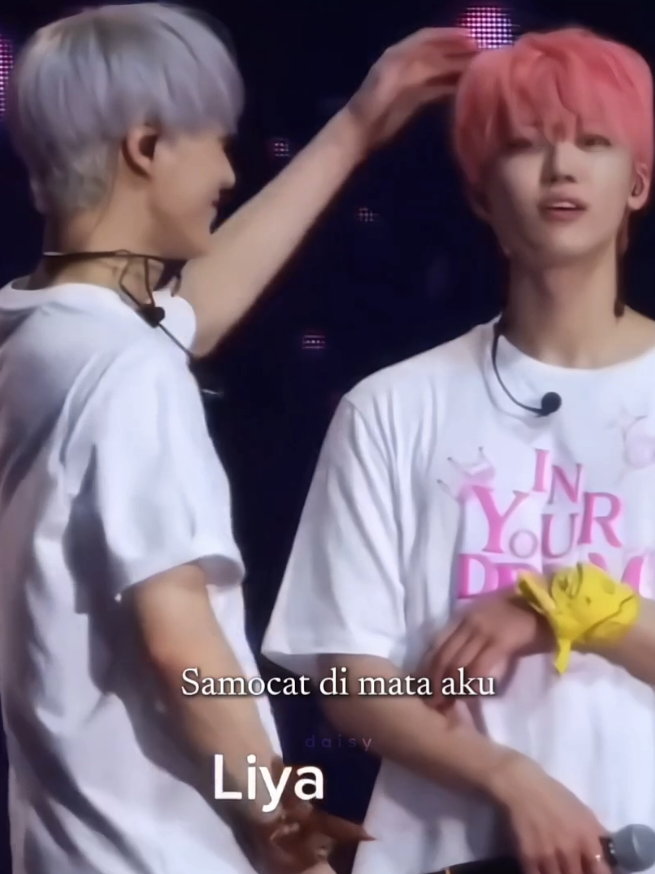 samocat tergemas dimata nominist 🥺 #nomin #jeno #jaemin 