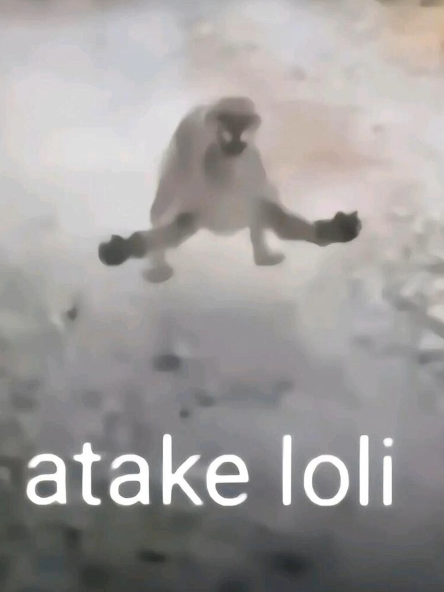 ATAKE LOLIIIIIIIIII 👺🐒 #atakeloli #tiktoktrend #CádizCF