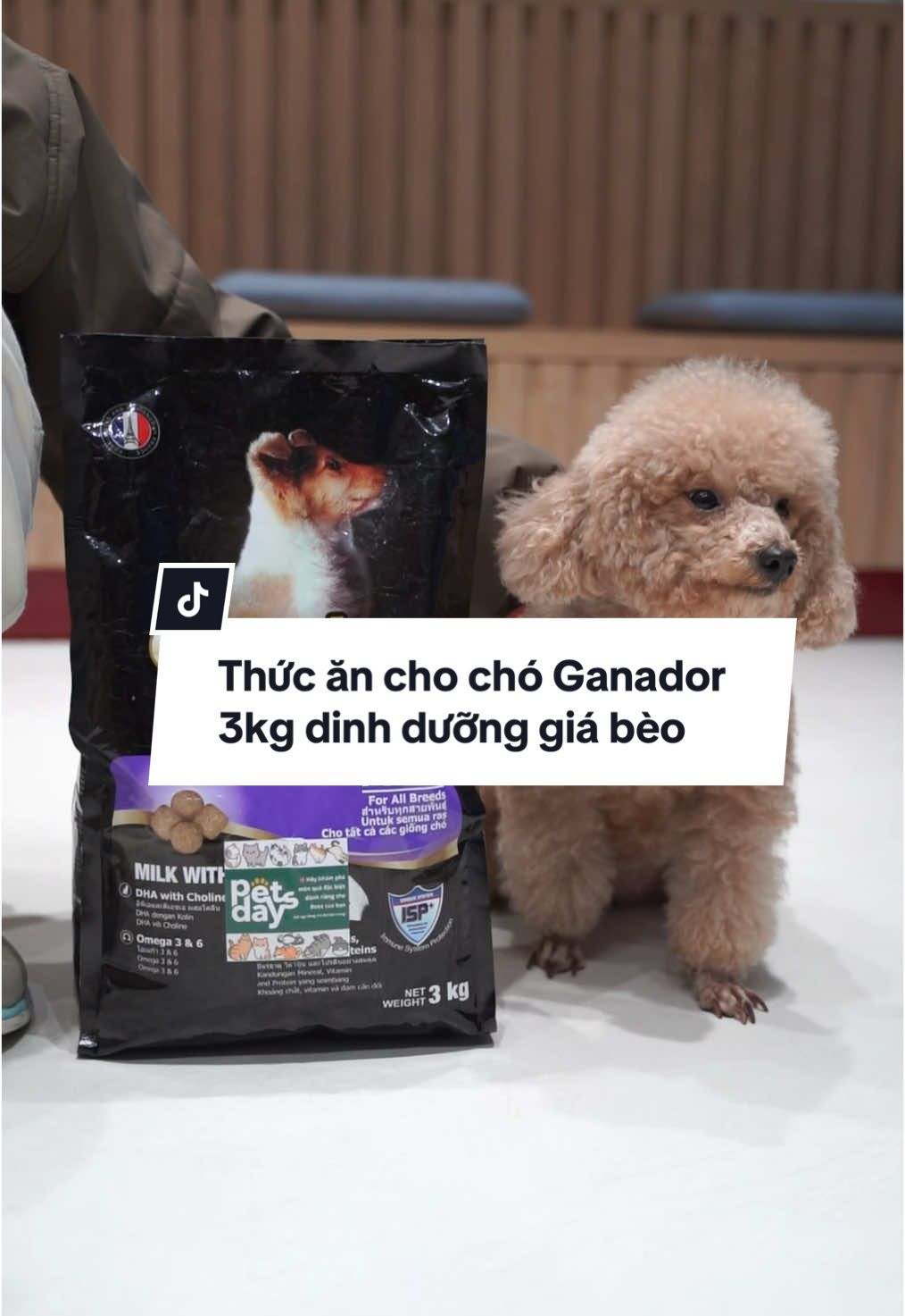Thức ăn hạt cho chó bổ sung dinh dưỡng - Ganador 3kg #bancuapets #thucanchothucung #thucanchomeo #thucanchocho 