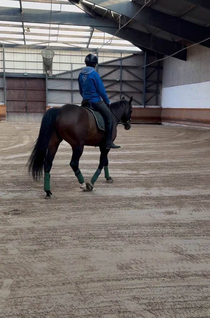 “La détente, c’est bien plus qu’un simple échauffement. C’est un moment clé pour préparer le corps et l’esprit, autant pour le cheval que pour le cavalier. Elle permet de relâcher les tensions, d’affiner la communication et d’aborder la séance avec sérénité. Un cheval bien détendu sera plus disponible, plus à l’écoute, et un cavalier relâché pourra mieux accompagner chaque mouvement. Prendre le temps de bien détendre, c’est poser les bases d’un travail harmonieux et respectueux. Alors, on respire, on écoute son cheval… et on profite de chaque instant ! ✨ #équitation #cheval #détente #complicité #dressage #travailàpied #cavalier #harmonie #horse #horsetraining #equestrianlife