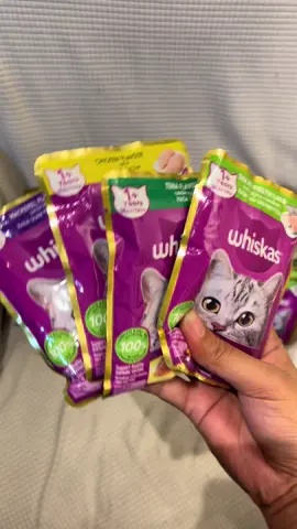 WHISKAS WET FOOD FOR MEUW 😻 #catfood #catsoftiktok #cat #wetfood #furbaby #whiskas #affordable 
