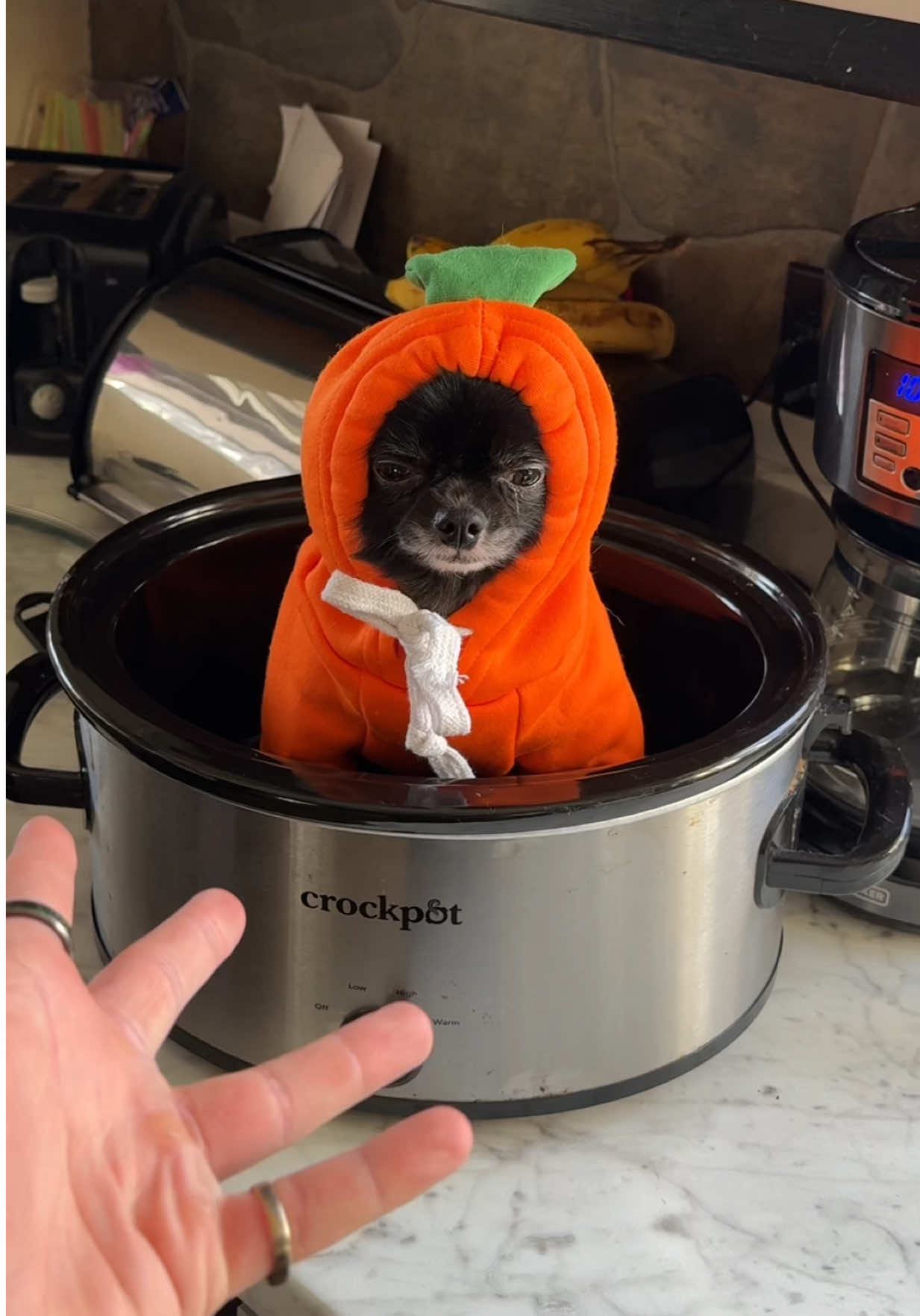 CARROT SOUP PUDDIN?! 😱🥕