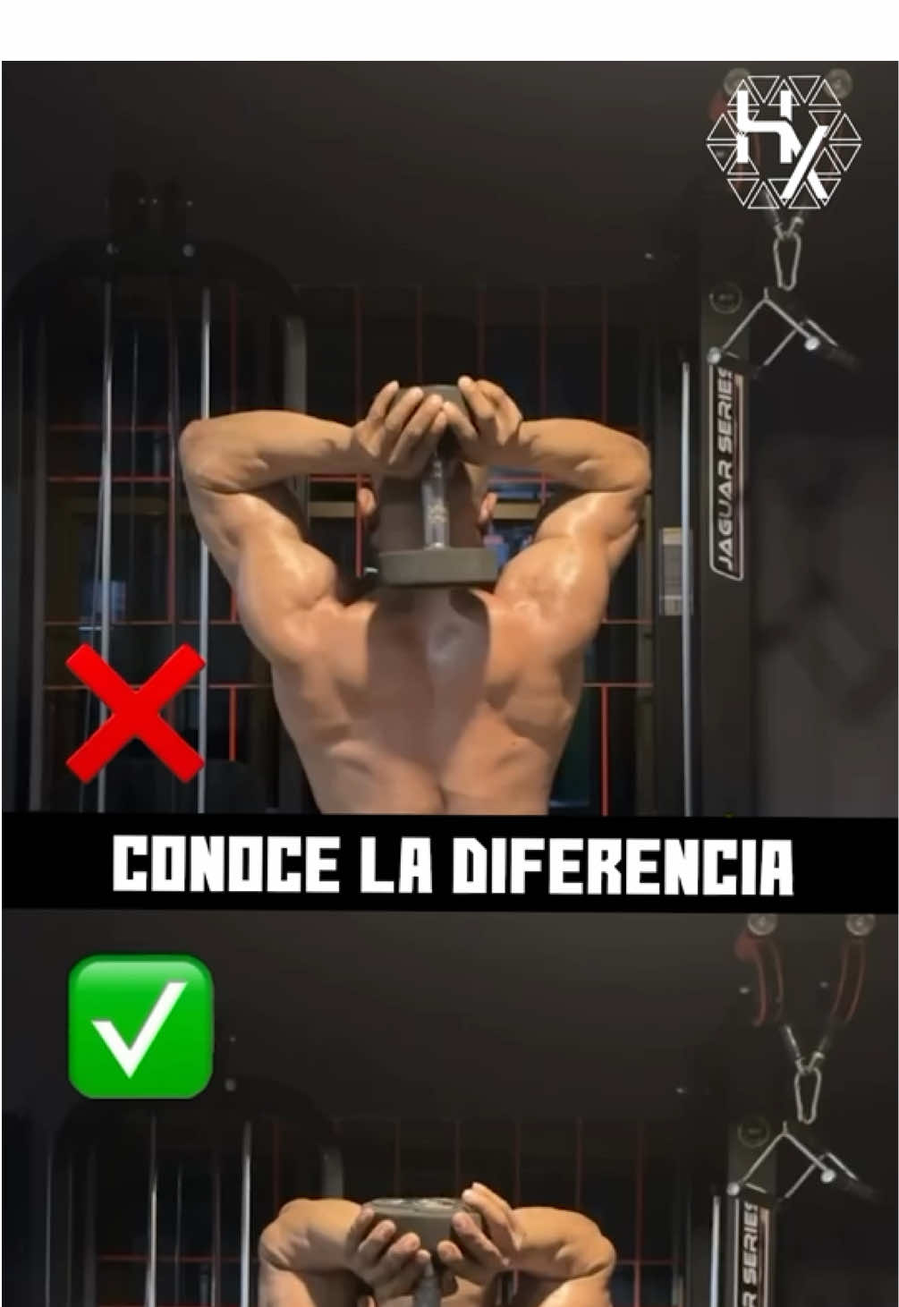 💪 Tips para Entrenar Tríceps en el Gym 💪 El tríceps es el músculo que ocupa la mayor parte del tamaño del brazo (aproximadamente un 60-70%), por lo que entrenarlo correctamente es clave para ganar volumen y fuerza. Aquí tienes los mejores tips para entrenarlo de manera efectiva: 1. 🏋️ Prioriza Ejercicios Compuestos * Movimientos como fondos en paralelas, press de banca cerrado y press militar trabajan el tríceps de manera intensa, permitiendo mayor sobrecarga progresiva. 2. 🎯 Trabaja las Tres Cabezas del Tríceps * El tríceps tiene tres cabezas (larga, lateral y media), por lo que debes incluir distintos ejercicios para estimularlas todas: ✅ Cabeza larga: Extensiones con mancuerna o polea por encima de la cabeza. ✅ Cabeza lateral: Jalones con cuerda o barra en polea. ✅ Cabeza media: Press cerrado y fondos en paralelas. 3. 📏 Mantén los Codos Estables * Evita abrir los codos en exceso en ejercicios como extensiones con mancuerna o polea, para aislar mejor el tríceps y reducir el riesgo de lesiones.  #ejerciciosencasa #fuerza #gym #gymmotivation #gimnasio #gains #Fitness #fit #man #tips #workout #guias #exercise #routine  #fitlife #pesas #protein #proteina #musculo #brazo #tricep #row 