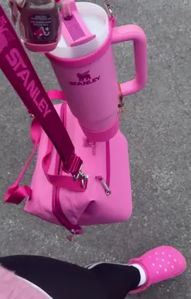 Pink girly 💞 #stanley #StanleyCup #lunchbag  #stanleylunchbox #fyp #viralvideo 