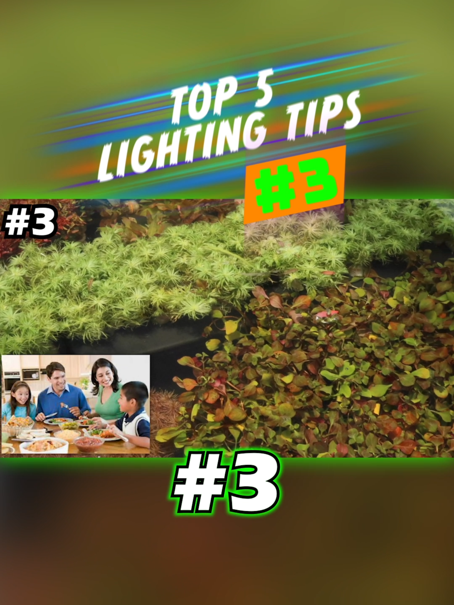 TOP 5 LIGHTING TIPS #3! Here are my tips for having success with your lighting in your planted aquarium. What are your thought on this tip? What other tips would you recommend? TANK ON! #light #lighting #aquarium #fishtank #top5 #countdown