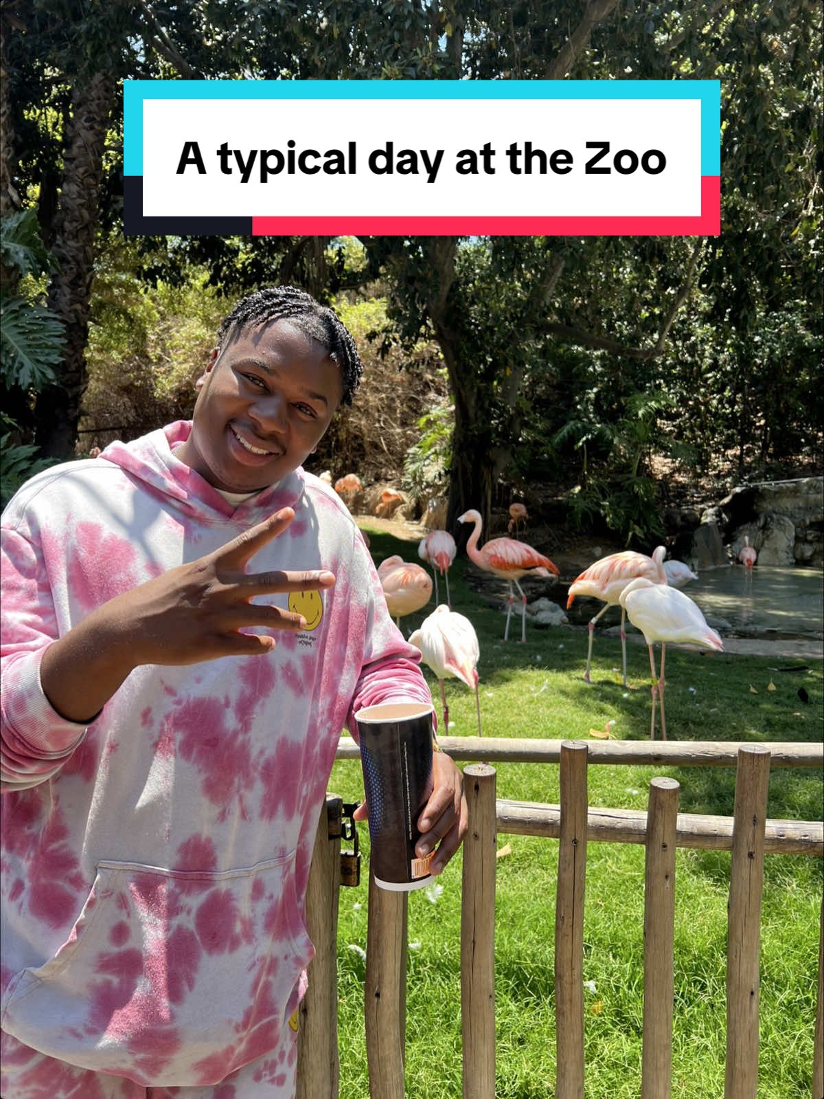 first and last day as a zoo keeper..