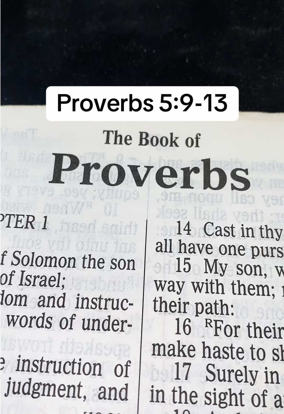 📖Proverbs5:9-13📖#Jesus #ScriptureReading #Christ #Messiah #TheSonOfGod #Grace #Mercy #Word #Truth #Bible #Scripture #ForYou #ForYourPage #FYP #Christian #christiantiktok #Wisdom #Knowledge #Understanding #Faith #Love