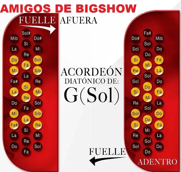 aprende a como tocar acordeon fácil rápido y gratis con tu compa bigshow. teoría para principiantes. #learn #acordeon #accordion #regionalmexicano #musica #teoria #clasesgratis #freelessons #teacher #principiante #bigshow #elacordeonista #acordeonista #como #how 