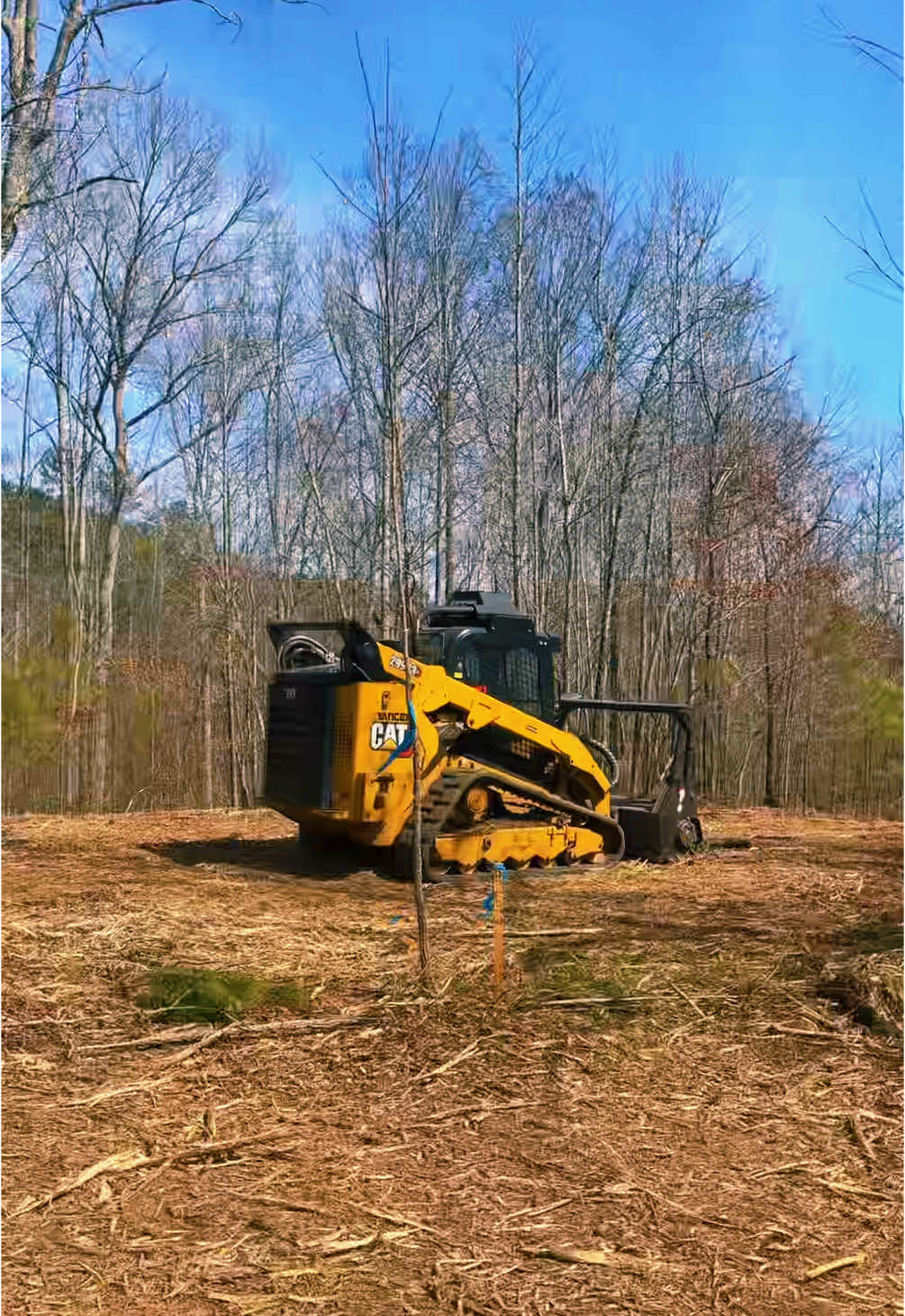 6/10 have a tingle now but did the job #landclearing 