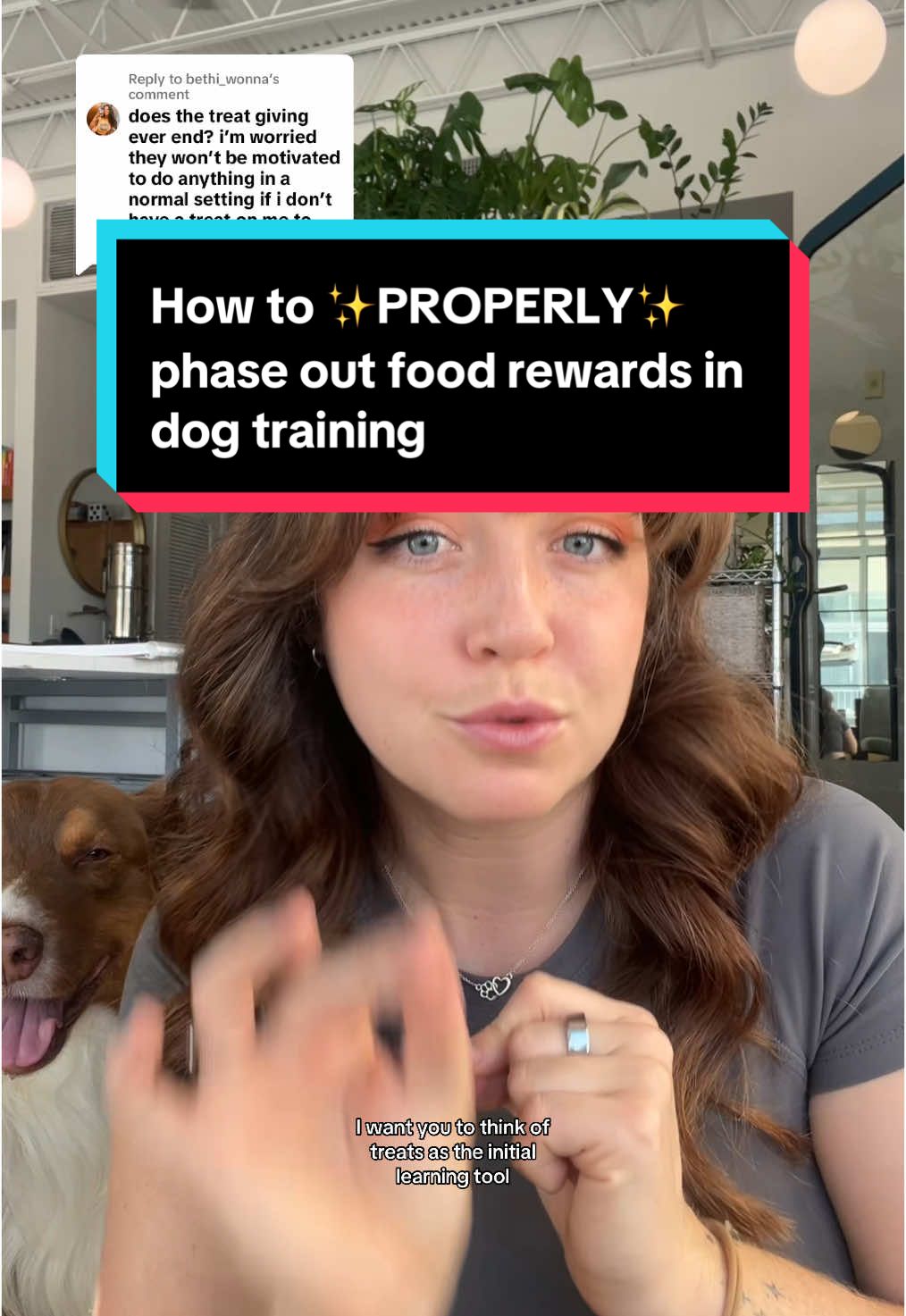 Replying to @bethi_wonna DONT SKIP THIS! honestly one of the BEST things you can do is take the treat OUT OF YOUR HAND when training your pup. Use a treat pouch (mine is linked in my bio) and remove that food lure asap. Then you will start giving treats at a variable pace instead of every single time. There is a whole process to it- this vid covers it ALL! 🐶 #dogtreats #dogtraining101 #howtophaseouttreats #positivityonly #taylorcezanne #puppytips 