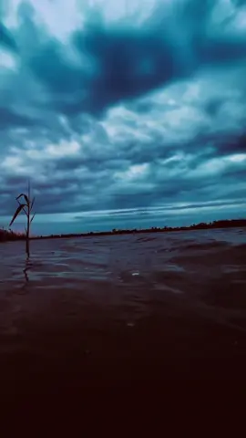 كان لي شخص لا خفي عليه سرا وليوم هوه السر الذي يؤلمني واخفيه مع كل الاسف 💔🥀#كسبلور_explor #تصويري 