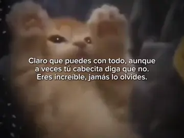 Claro que puedes con todo, aunque a veces tú cabecita diga que no. Eres increíble, jamás lo olvides. #goodvibess_xd #gatito #dedicar #michis 