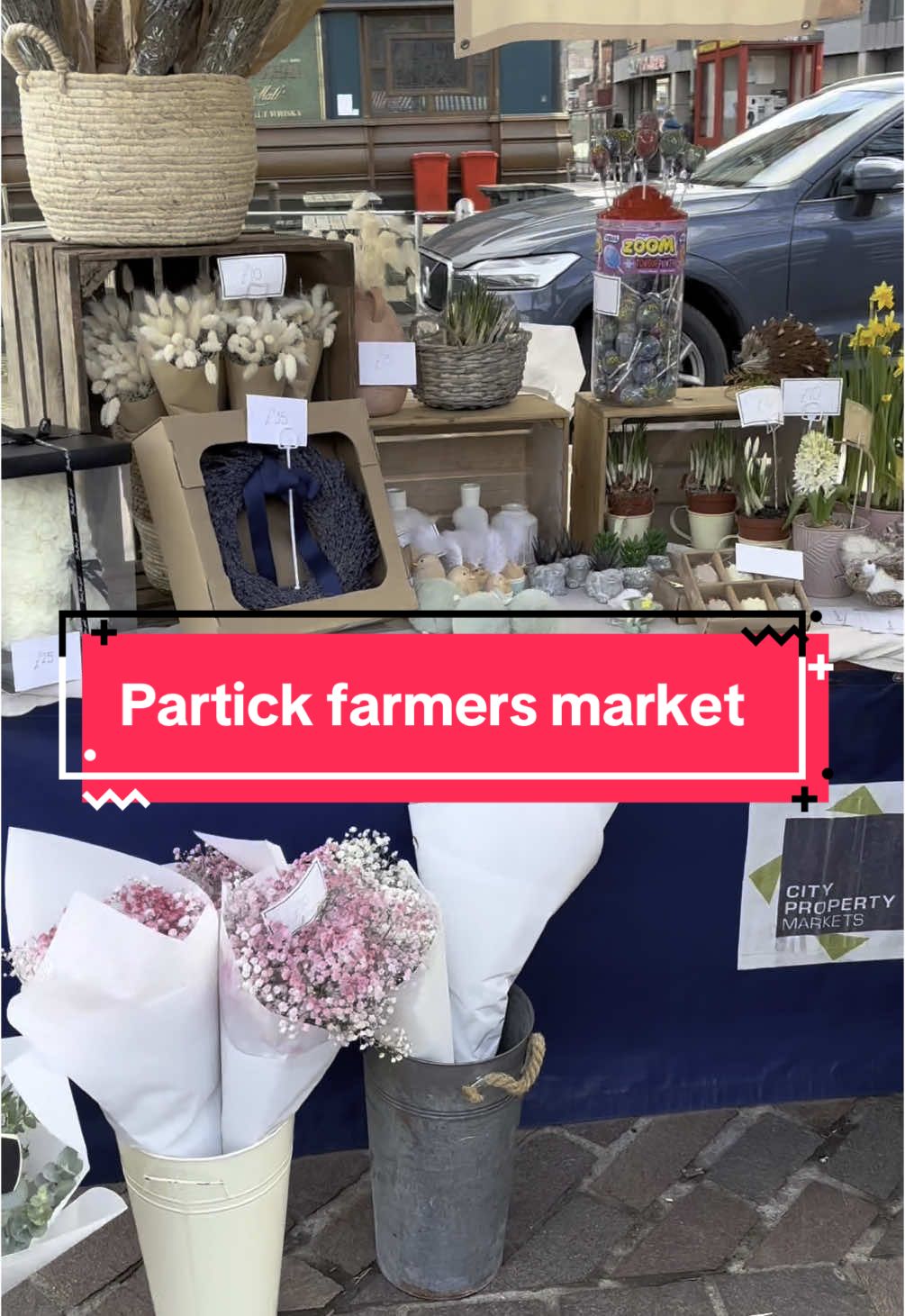 Open 10-2pm📍 Mansfield Park Mansfield Park Hyndland Street, Glasgow West End G11 5QE. Upcoming dates: 8th March 2025, 22nd March 2025, 12th April 2025 #thingstodoglasgow #glasgowgannets #glasgowwestend #catsoftiktok #glasgow 
