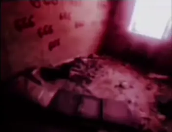 >____< #оленята #666