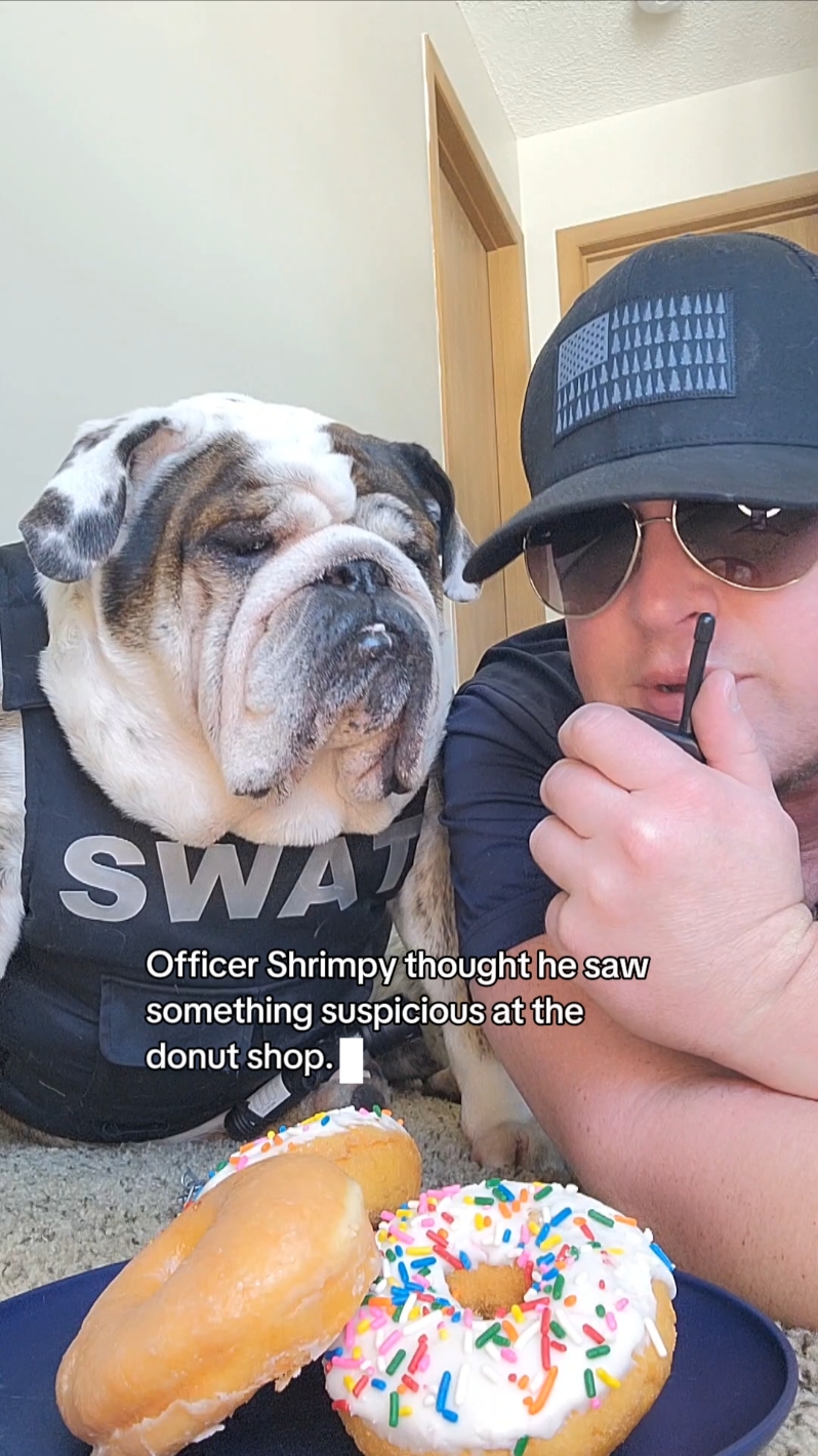 Officer Shrimpy thought he saw something suspicious at the donut shop... again. 🚨