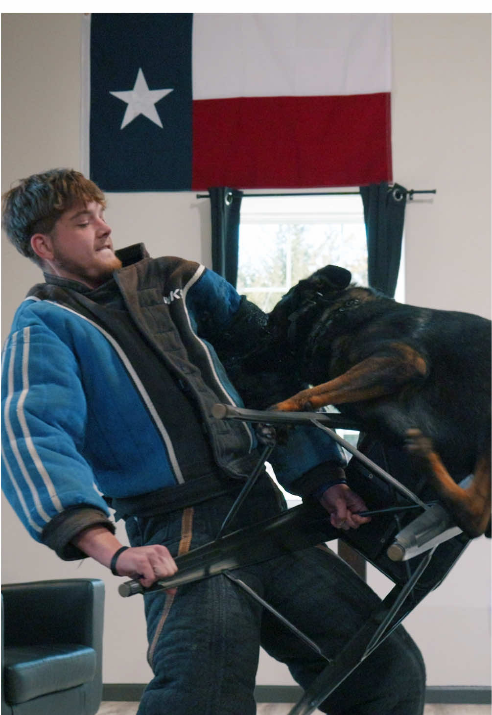Putting dogs in different scenarios and showing them all the pictures is very important. Here’s Darrel working on handler protection and biting over objects.  #protectiondog #protectiondogtraining #germanshepherd #germanshepherdtraining #k9 #k9protection #canineprotection #DogTraining 