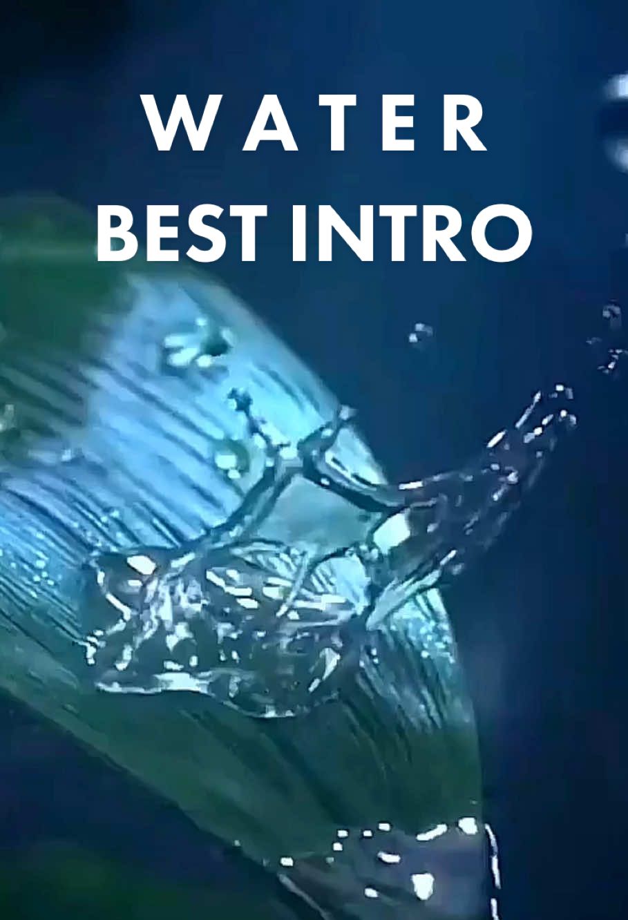 Use this template! It helps me produce more content like this. Thank you! #CapCut #intro #water #logo #marketing #edit 