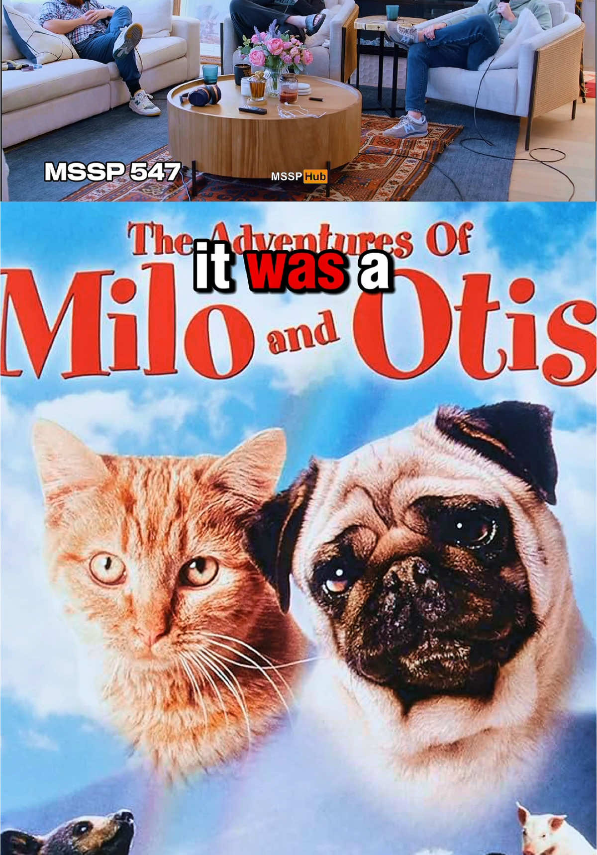 Shane Gillis Tells James The Sad Story Behind Milo And Otis 😅😔 #shanegillis #shanegilliscomedy #miloandotis #mssp #homewardbound #mattmccusker #jdfmccann #mattandshanessecretpodcast 
