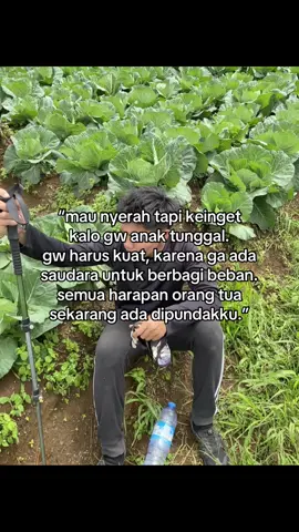 semangat #4u #harapankeluarga #orangtua #tunggal #fotolive #viral #trend #sad #kuat #xyzbca 