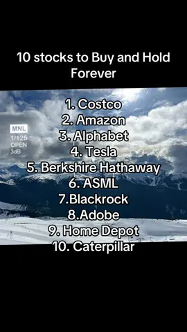 10 stocks to buy and hold forever. View my portfolio on Blossom at the Link in bio #Investing #stockmarket #blossom #stocks #10stocks 