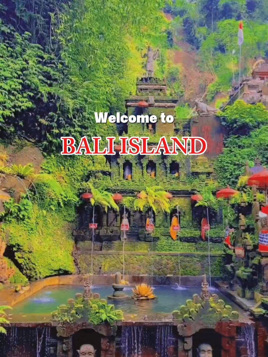 BALI TOURS, Tempat-tempat terbaik yang harus Anda kunjungi selama perjalanan di Bali.   Temukan setiap sudut pulau Bali yang menakjubkan. Mulailah hari dengan perjalanan mobil pribadi yang mengasyikkan untuk membawa Anda ke salah satu tempat terindah di Bali. Pemandu lokal Anda akan membawa Anda ke semua pemandangan terbaik dan indah. Jika Anda benar-benar ingin merasakan surga yang terbaik,. Wisata yg Wajib Kamu Kunjungi :  ▪︎ Ubud tour  ▪︎ Tegallalang Rice Terrace  ▪︎ Secred Monkay Forest   ▪︎ Seminyak   ▪︎ Uluwatu Temple  ▪︎ Nusa Penida   ▪︎ Jimbaran Bay    Untuk info lebih lanjut tentang Tur Bali & Nusa Penida Hubungi kami di Whatsapp  ▪︎ +6287863195340  ▪︎ +6282147518199   Best Regards From Wyan Bali Driver   #bali #wisatabali  #balidriver #ubud #kuta 