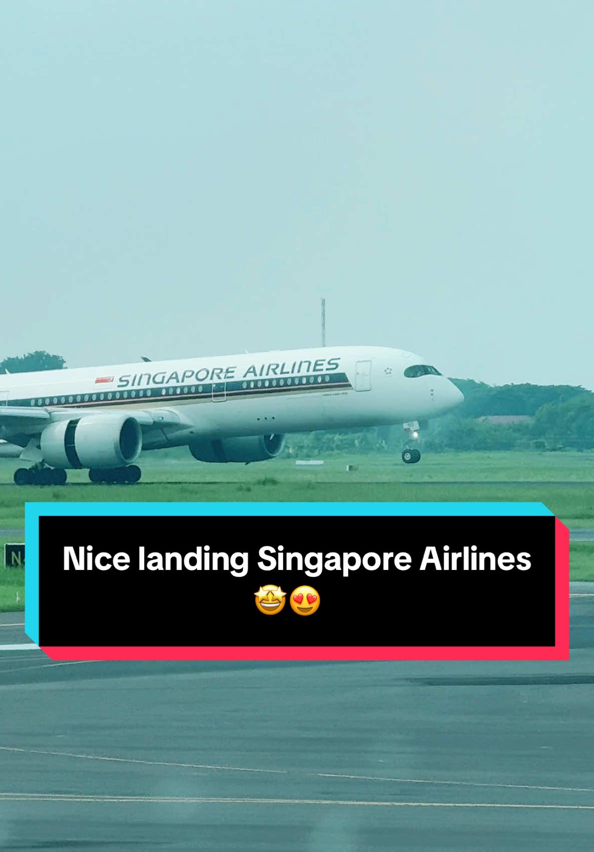 Airbus 350 Singapore Airlines 😍🤩 #pilot #pilotsoftiktok #aviation #aviationlovers #airbus #landing 