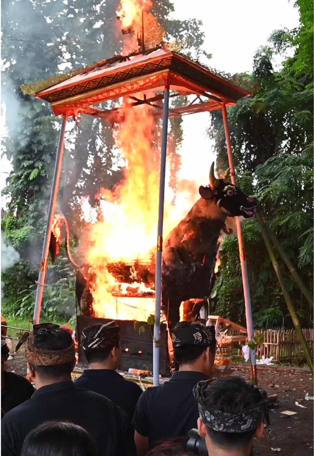 Ngaben: Budaya Bali Membakar Jenazah Ketika Meninggal Dunia. #ngaben #ubud #monkey #bali #wisatabali #ubudbali #fyp #ubudviral #viral #monkeyforest #travel #travelbali #ngabenjerogedebatur #ngabenbali #ngabenbatur #ngaben #batur #kintamani #ubud #bali #fyp #baliviral #viral #vloggerbali