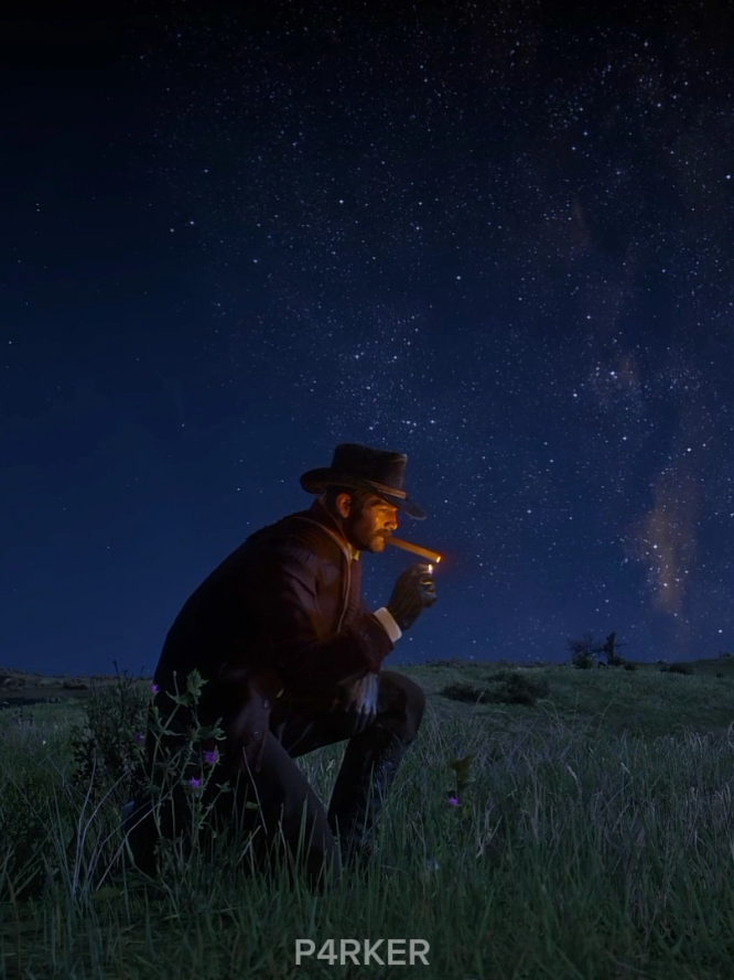 stars in the sky.|#rdr2 #rockstargames #games #videgames #tiktokgaming #arthurmorgan #vibes #nightcore #fyp 