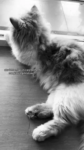 #sadstory🥀💔 #gamon #fyppppppppppppppppppppppp #katakata #foryou 