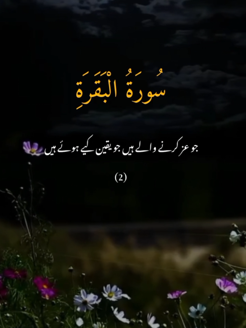 #qurantranslationurdu #quranvideo #quranrecitation 