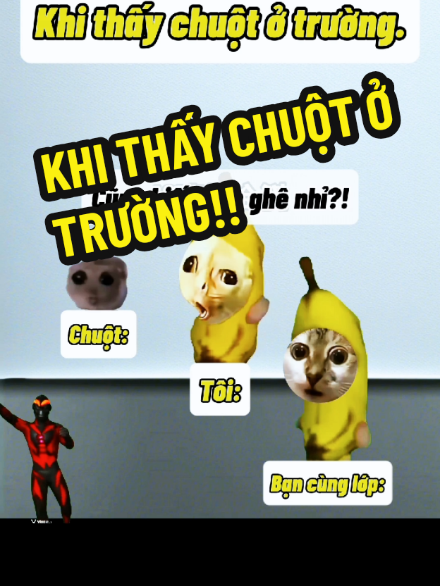 Khi thấy chuột ở trường!! ~~ #catmeme #xh #vietnamese 