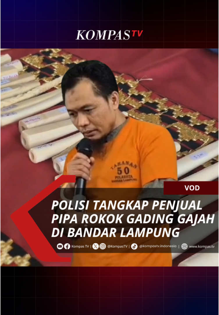 Seorang penjual sepatu sekaligus menjual puluhan batang pipa rokok yang berasal dari gading gajah diamankan Satreskrim Polresta Bandar Lampung. Pelaku berdalih menjual pipa rokok berbahan dasar gading gajah lantaran omset penjualan sepatu miliknya mengalami penurunan. Yuk temukan juga berbagai informasi lainnya di www.kompas.tv #VODKompasTV