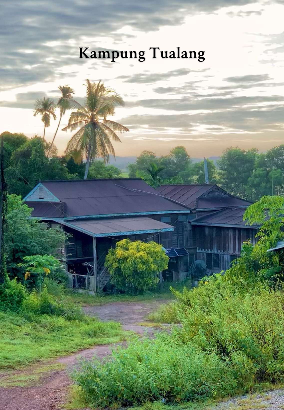 Kampung masih indah, angin tetap berhembus lembut. Tapi ada rindu yang berbisik dalam hening menggamit kenangan yang tak mungkin berulang. Buat hati yang rindu, sabarlah. Rindu ini bukan sia-sia. Ia menjadi doa yang terbang tinggi. Kasih sayang tak pernah hilang, cuma terpisah antara dua dunia. 📍 Kampung Tualang, Bukit Besar #suasanakampung 