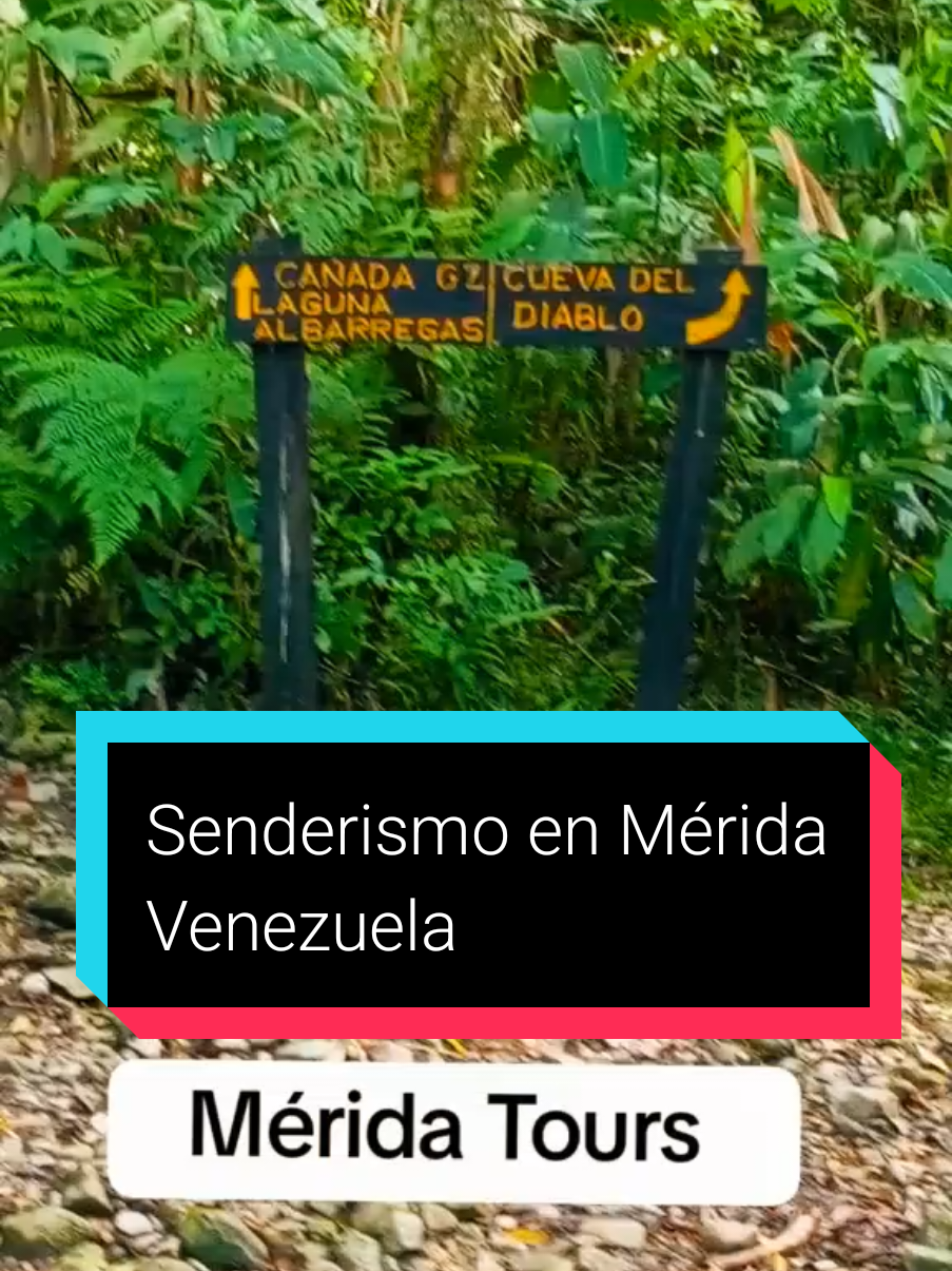 El senderismo es una actividad al aire libre que consiste en caminar por senderos o rutas en entornos naturales, como montañas, bosques, valles o costas. Su objetivo principal es disfrutar de la naturaleza, el ejercicio físico y el contacto con el entorno, sin necesidad de técnicas o equipos especializados como en el alpinismo o el montañismo. ### Características del senderismo: 1. **Senderos señalizados**: Las rutas suelen estar marcadas con señales, colores o símbolos para guiar a los caminantes. 2. **Dificultad variable**: Hay rutas para todos los niveles, desde principiantes hasta expertos. 3. **Duración**: Puede ser desde unas horas (senderismo corto) hasta varios días (trekking). 4. **Equipo básico**: Zapatos adecuados, ropa cómoda, mochila, agua y, en algunos casos, bastones. 5. **Beneficios**: Mejora la salud física y mental, fomenta el respeto por la naturaleza y permite descubrir paisajes. ### Diferencias con otras actividades: - **Trekking**: Es más exigente y suele durar varios días, a menudo en terrenos más remotos. - **Montañismo**: Implica ascender montañas con equipo técnico y mayor preparación. En resumen, el senderismo es una forma accesible y gratificante de conectar con la naturaleza y mantenerse activo.#trekking #turismo #senderismo #montañismo #Mérida #venezuela 