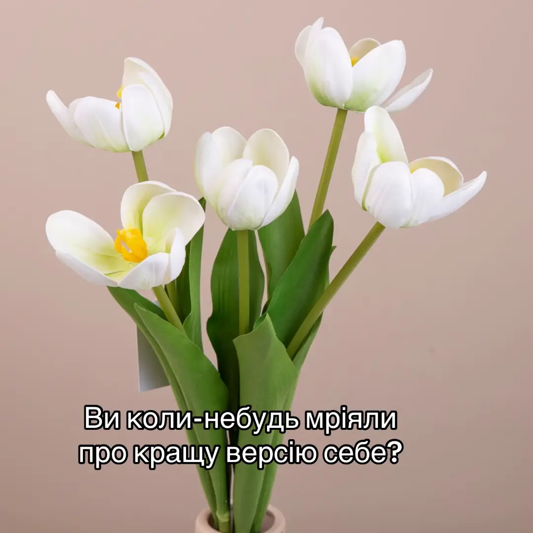 🌷🌷🌷