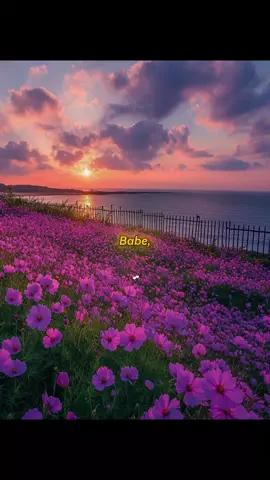 #lovequotes #lovequote #quoteslove