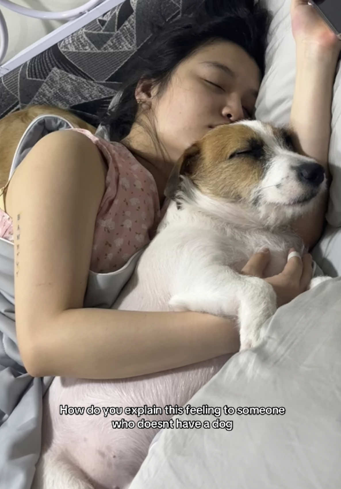 Best feeling in the world 🙂     #jackrussellterrier #dog #dogsoftiktok 