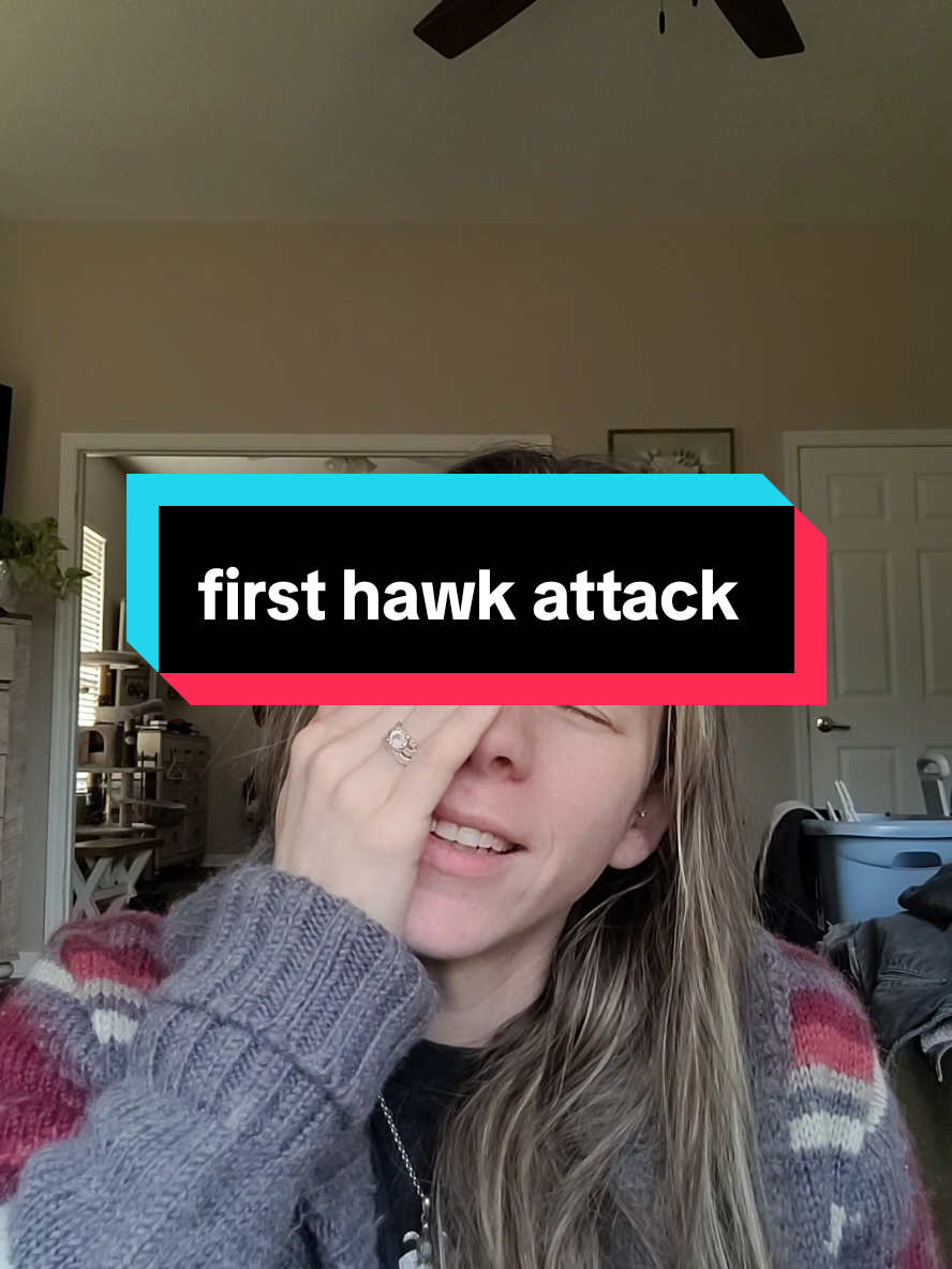 witnessed my first hawk attack. the flock is staying in the run today for sure 