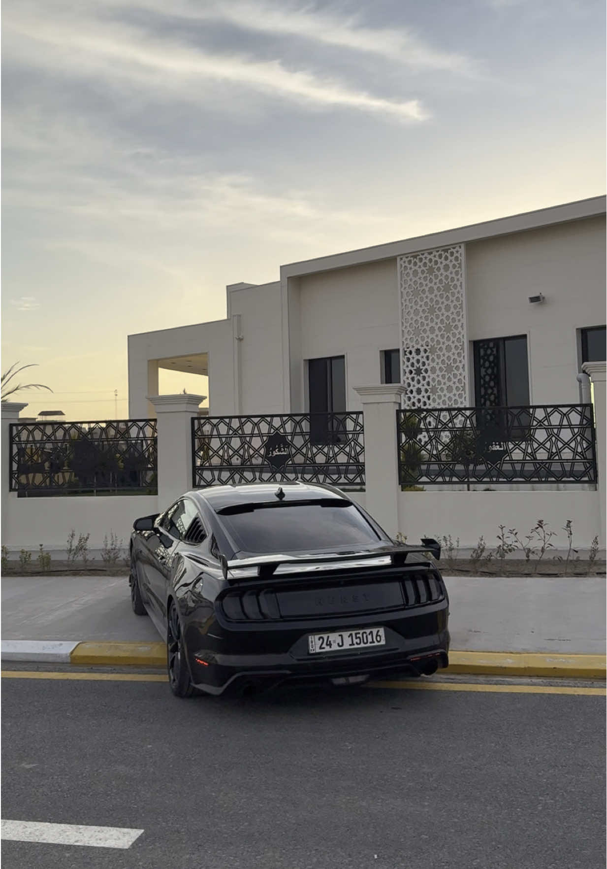 🔥🙂‍↔️#fyp #اكسبلورexplore #فوريو #fypシ゚ #viral #ali_aref99 #foryou #mustang #حنطور🐎♥️ 