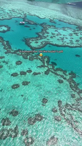 doesn’t even do it justice.  #hoziersyell #northernattitudenoahkahanhozier #northernattitude  #australia #heartofthereef #airliebeach #travel #traveltiktok #yell #fyp #greatbarrierreef 