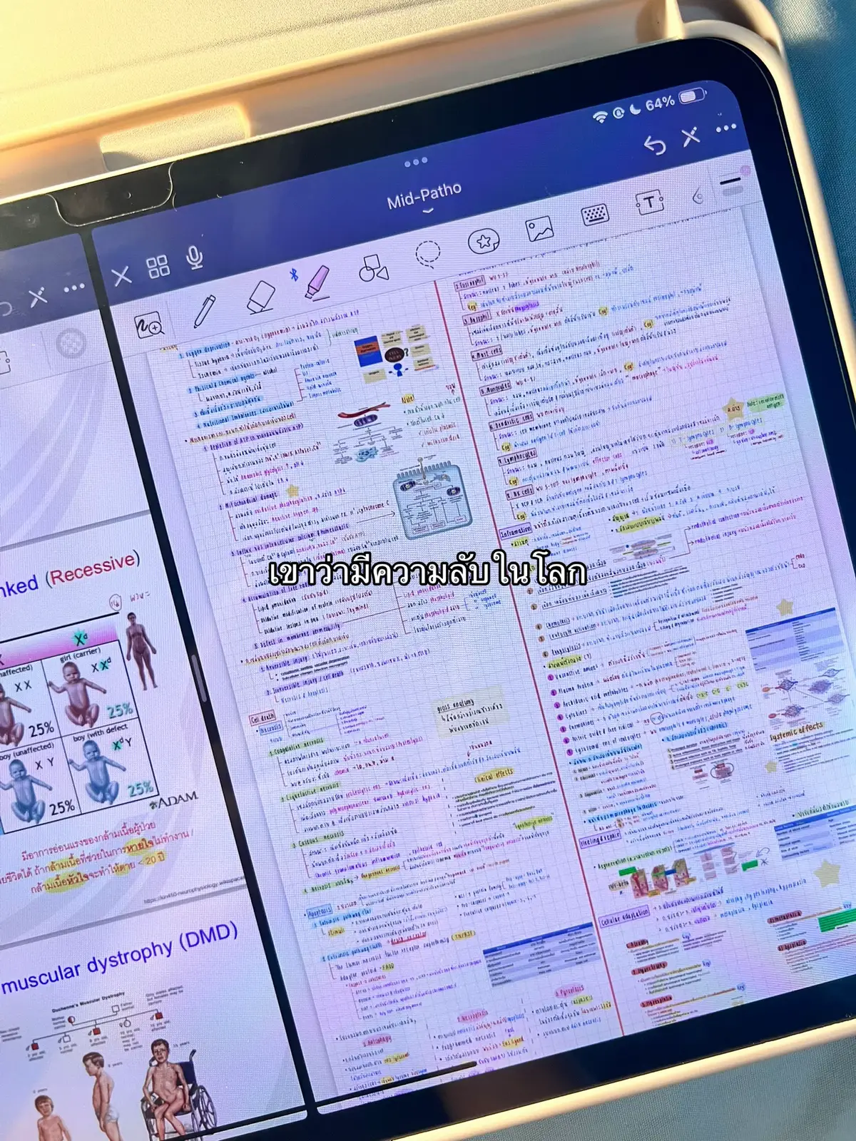 การนอนสำคันที่สุด (สรุปอ.มาเห็น)55555555 (ล้อเล่นๅๅค่ะแฮะๆ) #medsci #วิทย์แพทย์ #มหิดล #fyp 