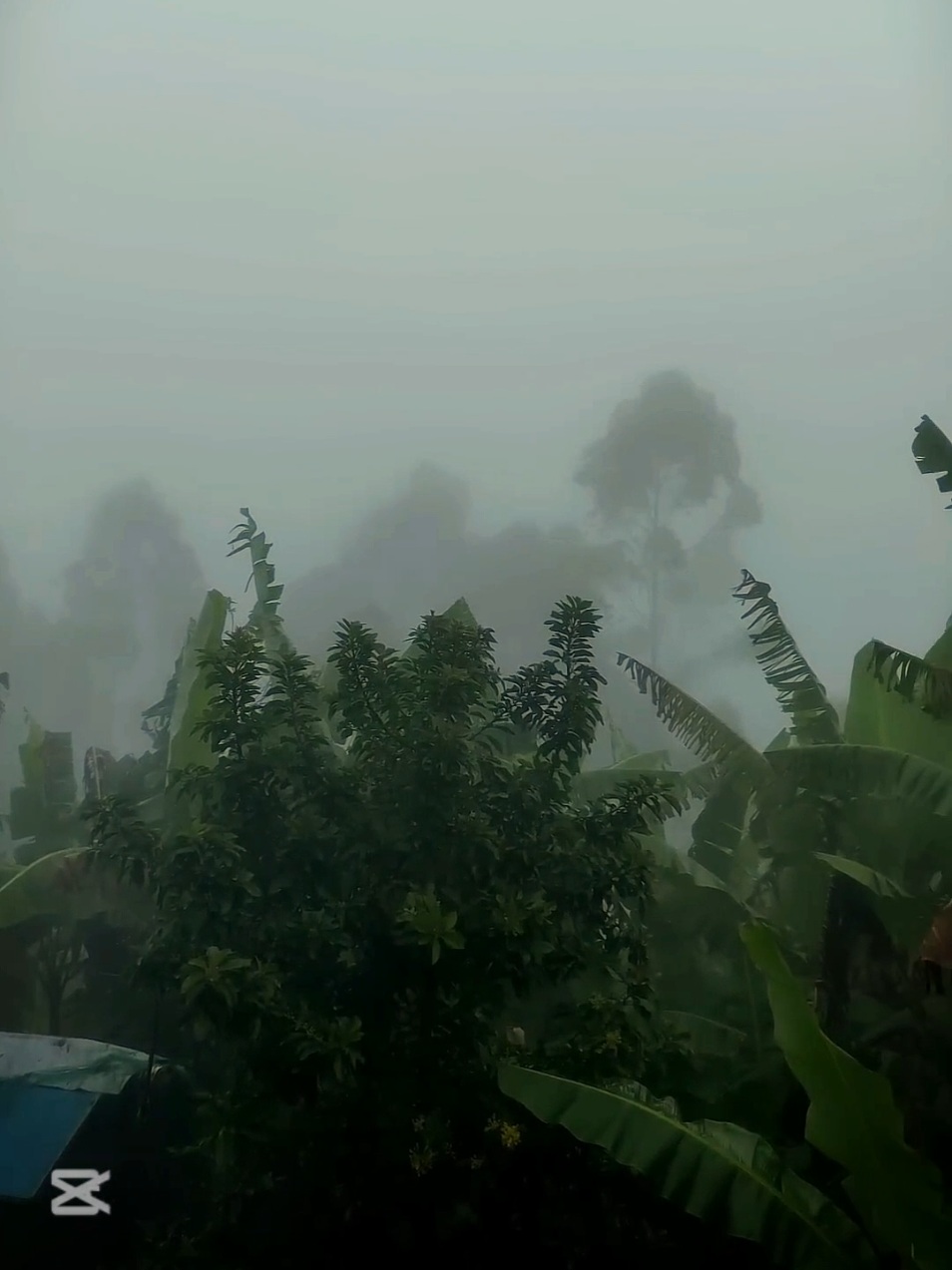 nature vibes morning time  #naturedialoguetamil #morningvibe #tamilbgm #tamilsong #tamillyrics #tamilstatu #naturevideomusictamil  #naturelover #lovenature #onmillion #fyp #srilankatiktok #foryou #viral  #nature #naturesoundtamil #natural #tamilvibes #tamilmusical_ly  #fy  kaalayil 5 mani irukkum jil endu irunthichi 
