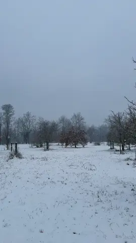 ☁️ #ambient#real#music#nostalgia#calm#mist#winter#smowfall#fyp 