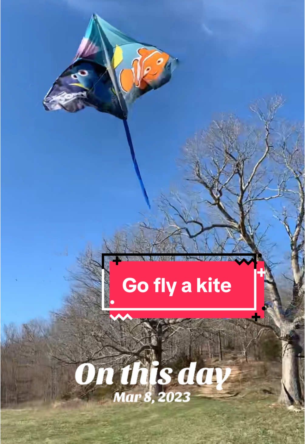 Go fly a kite 🪁 ya won’t regret it! #onthisday #kite #goflyakite #childhoodmemory #feellikeakidagain 