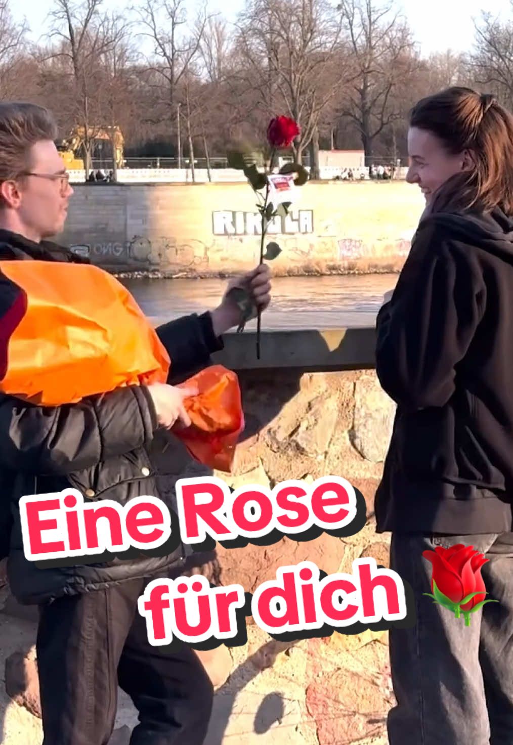 Otto mag dich! 🌹😃 #frauentag #Magdeburg #magdeburg_otto_du #ottomagdich #rose #schenken #magdeburgerkind #ottostadt #viral #fürdich #gutelaune